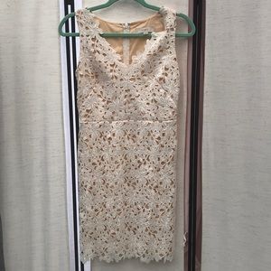 Gorgeous lined lace dress! Loft White dress above knee zipper back size 00